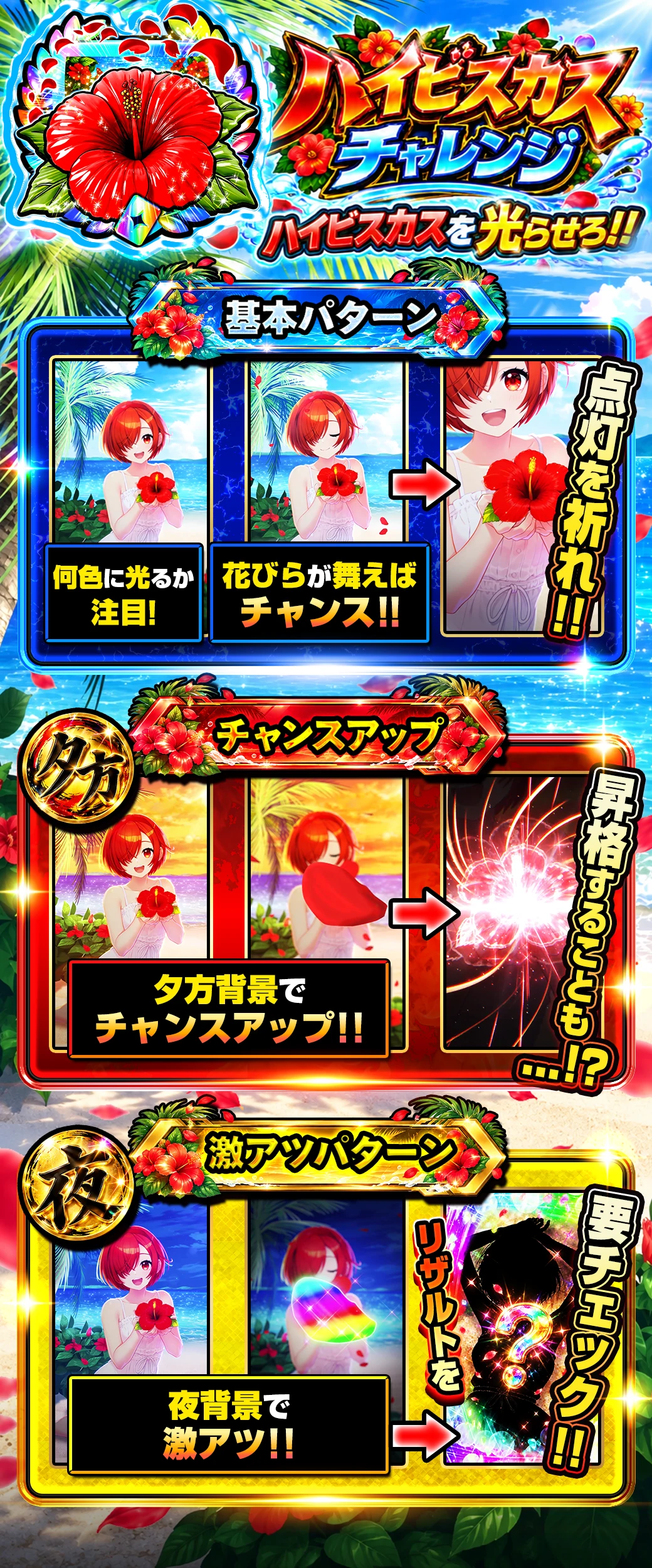 ハイビスカスチャレンジ 演出説明
